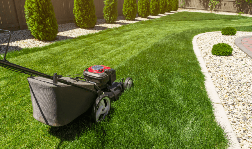 Flores Lawn, Landscape & Tree